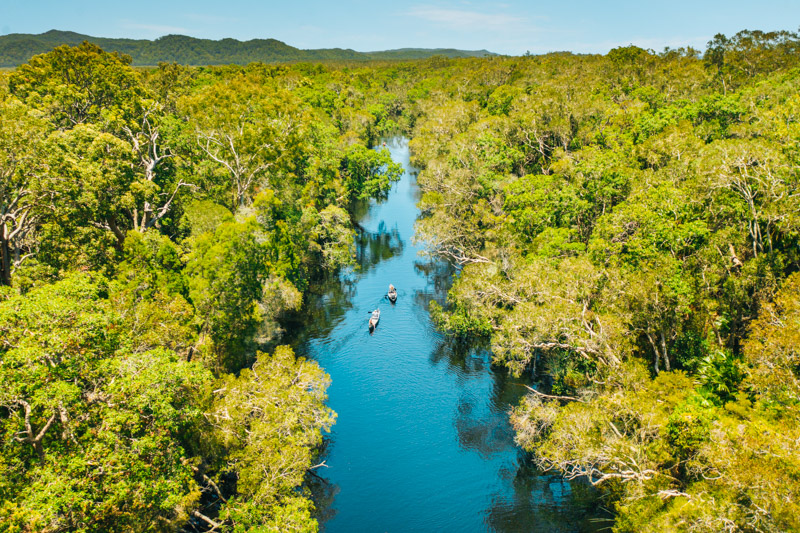 river with reflections in the Noosa everglades