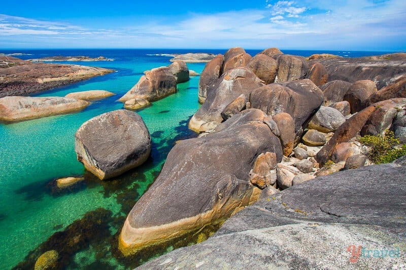 rocks in the water shaped like Elephants