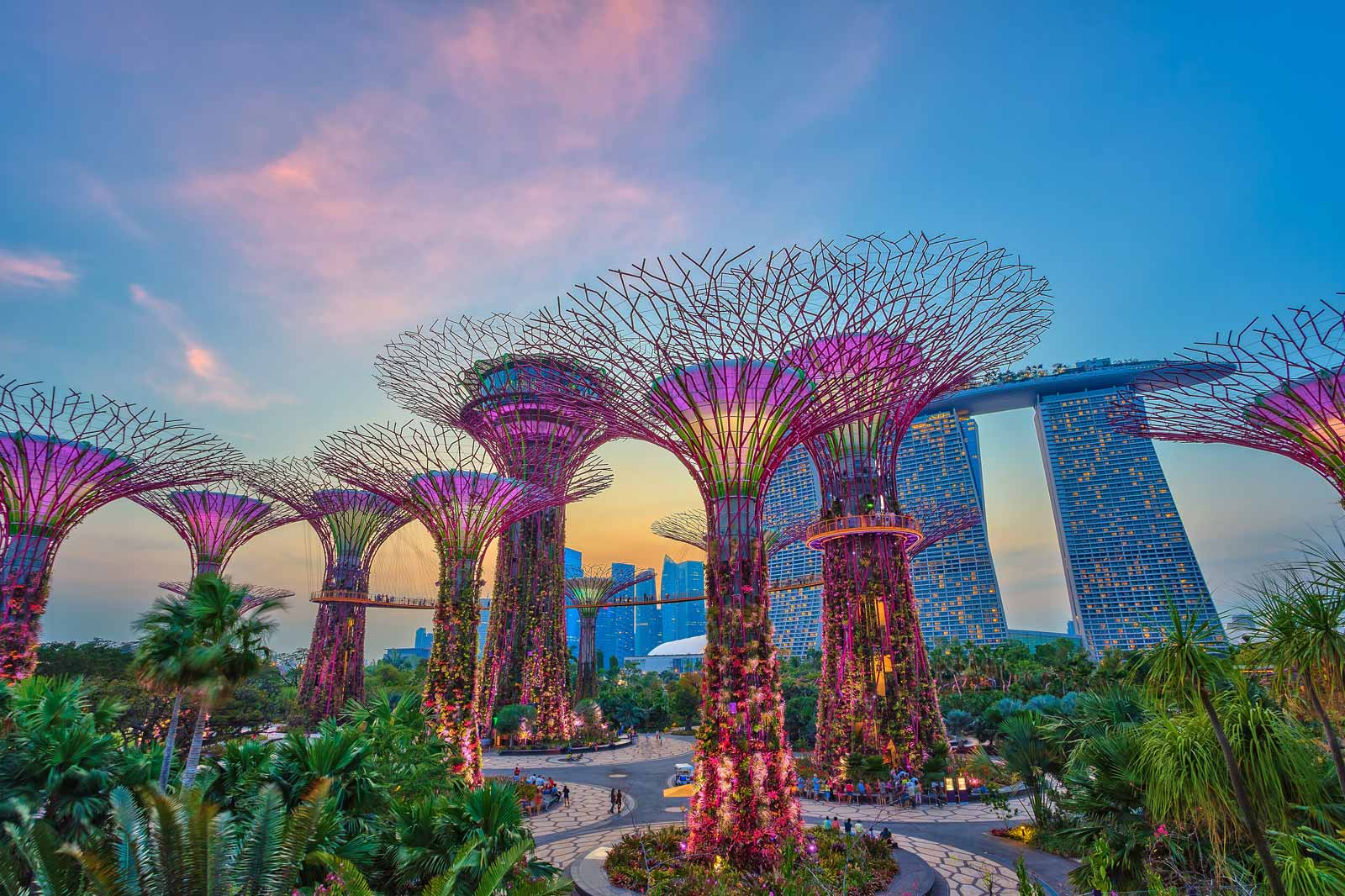 what to see in singapore gardens by the bay