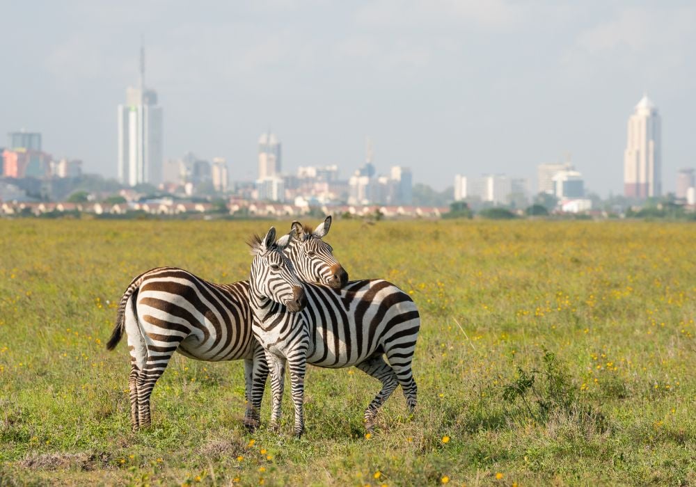 Nairobi National Park