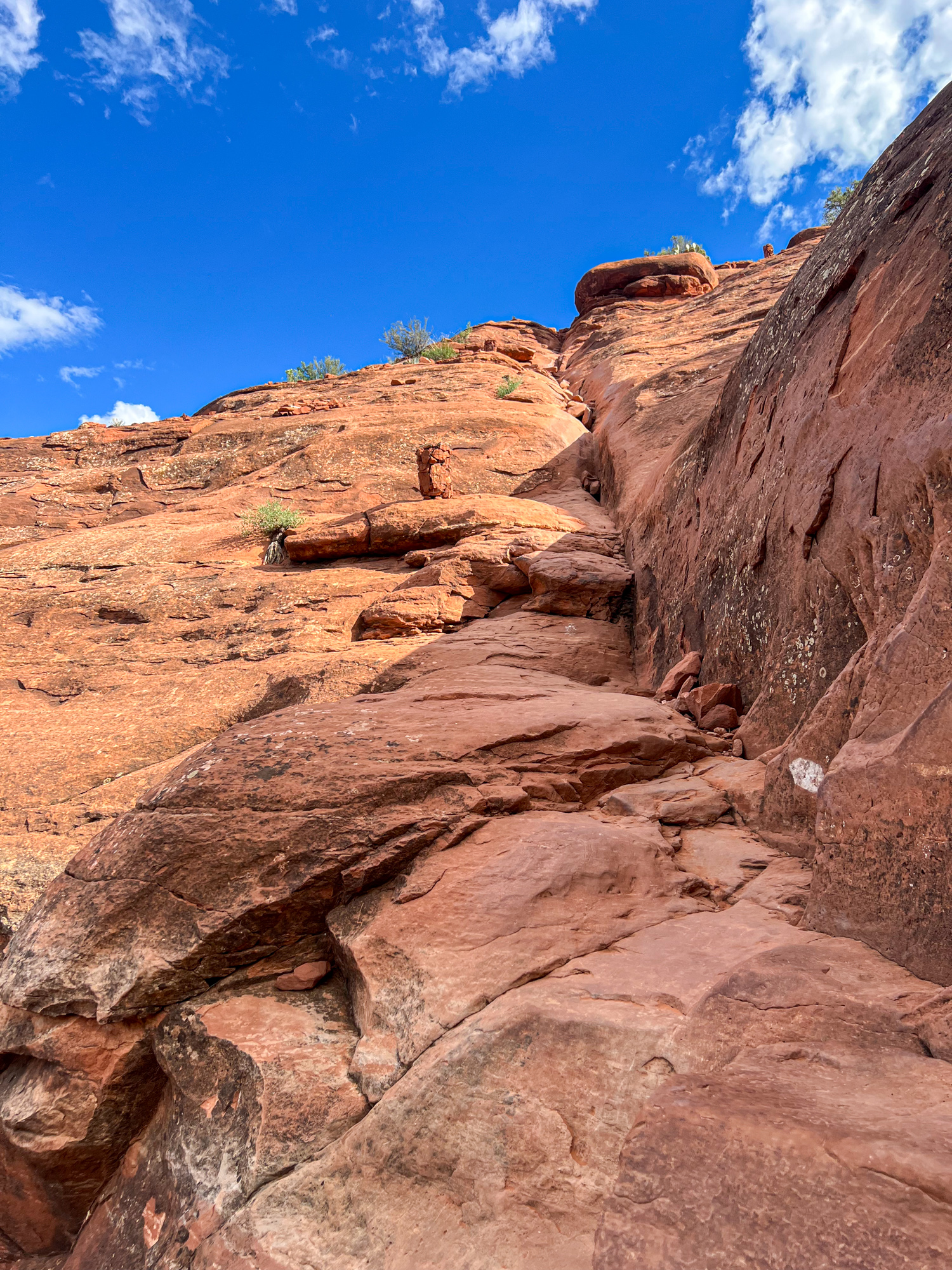 Looking up the most difficult section of Cathedral Rock Trail in Sedona, Arizona