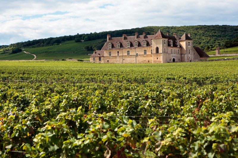 Burgundy, France Vineyard Scenery