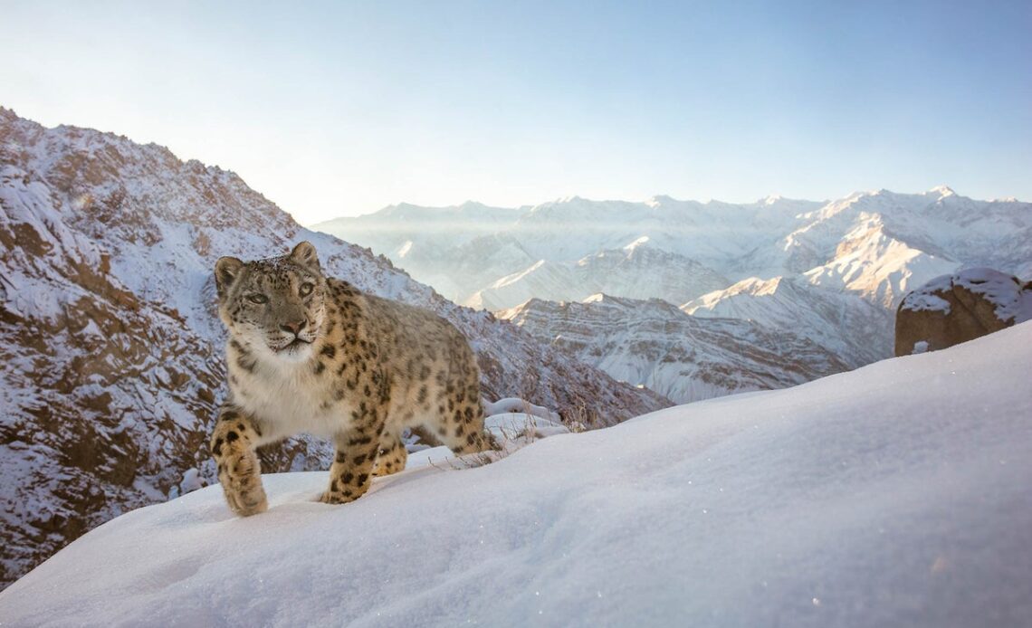 Nature Photographer of the Year 2022: The winning photos