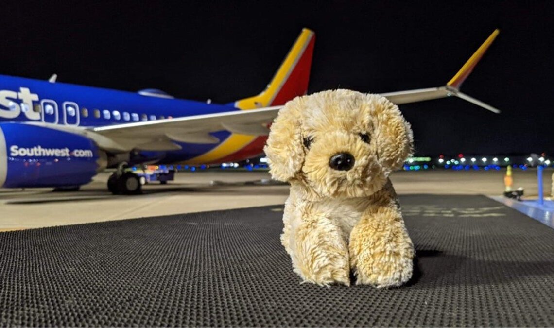 Southwest Airlines employee rescues little girl’s stuffed dog, sending photos of its travels