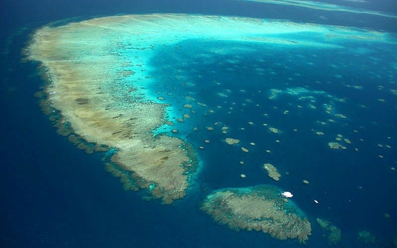 aerial view of the Great Barrier Reefs in the ocean