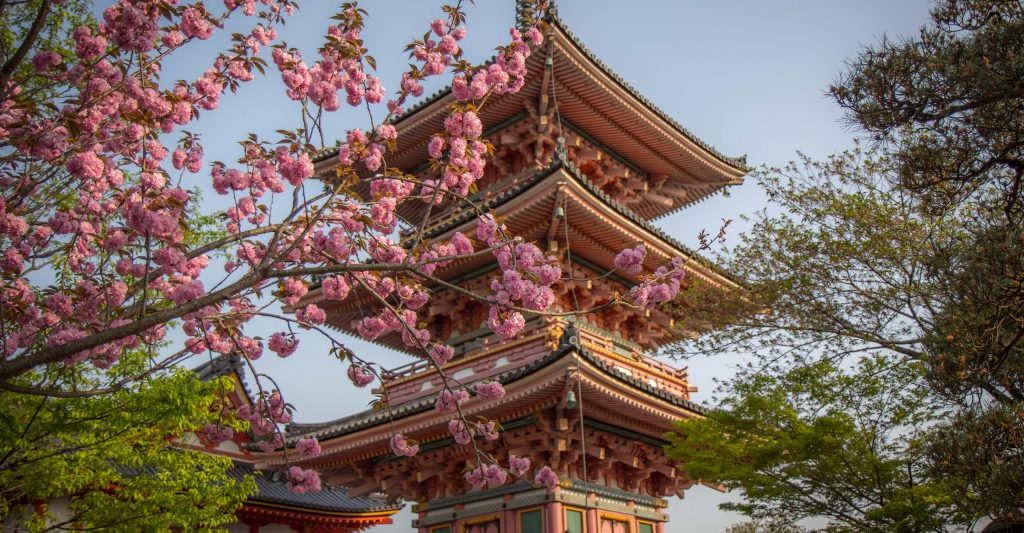 Your expert guide to travelling in Japan