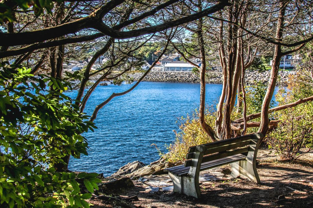 A bench on a coastal path overlooking a calm blue harbor.