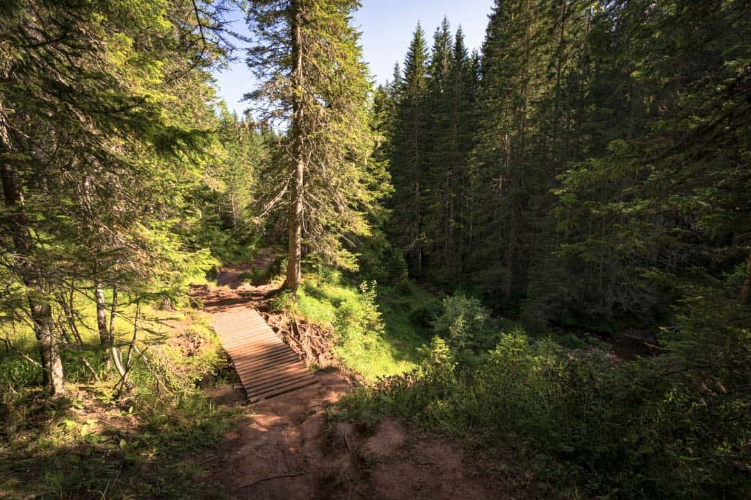 Hiking Trail Durmitor National Park Montenegro