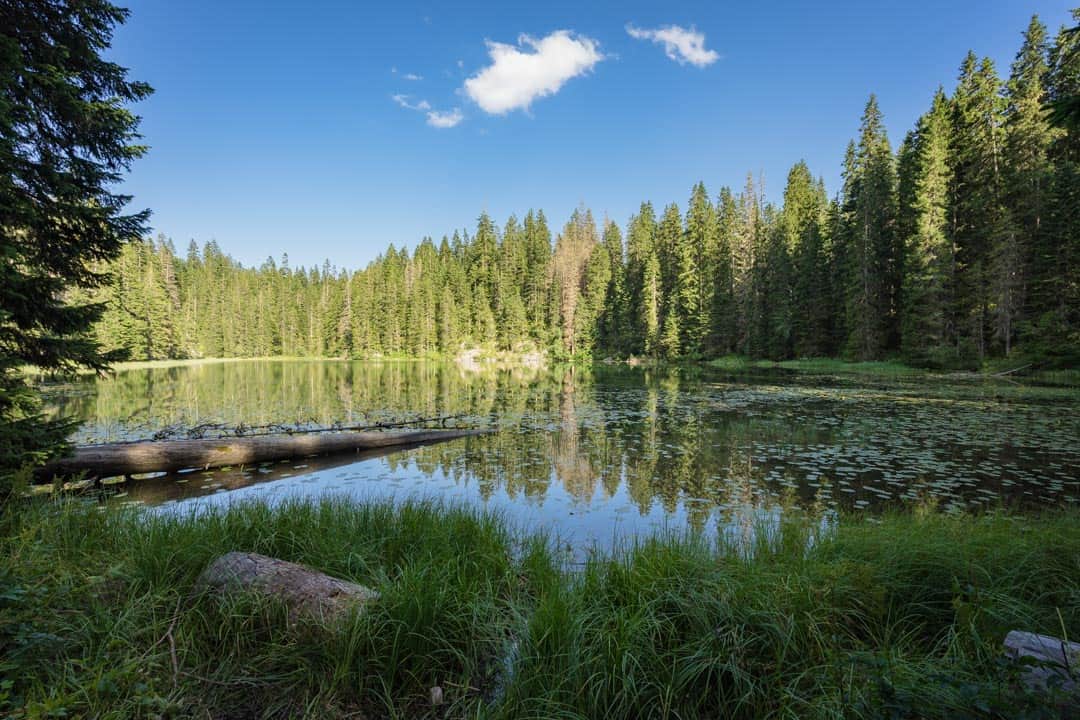 Small Lake Durmitor National Park Montenegro