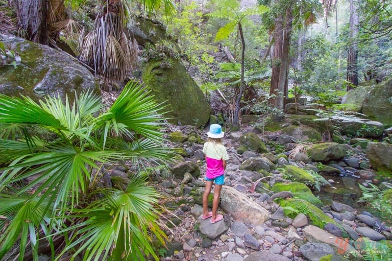 girl walking down a rocky path in a forest