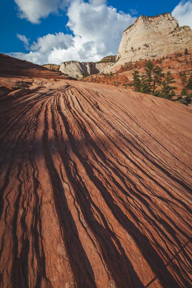 What hike to do in Zion 