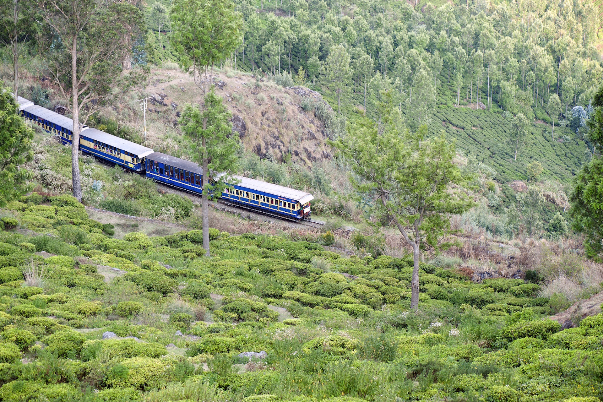 The image was shot in Coonoor-India