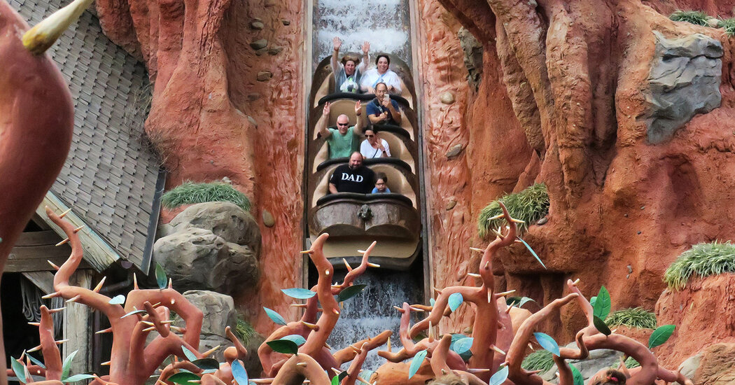 Disney’s Splash Mountain Closed. Now Superfans Are Selling the Water.