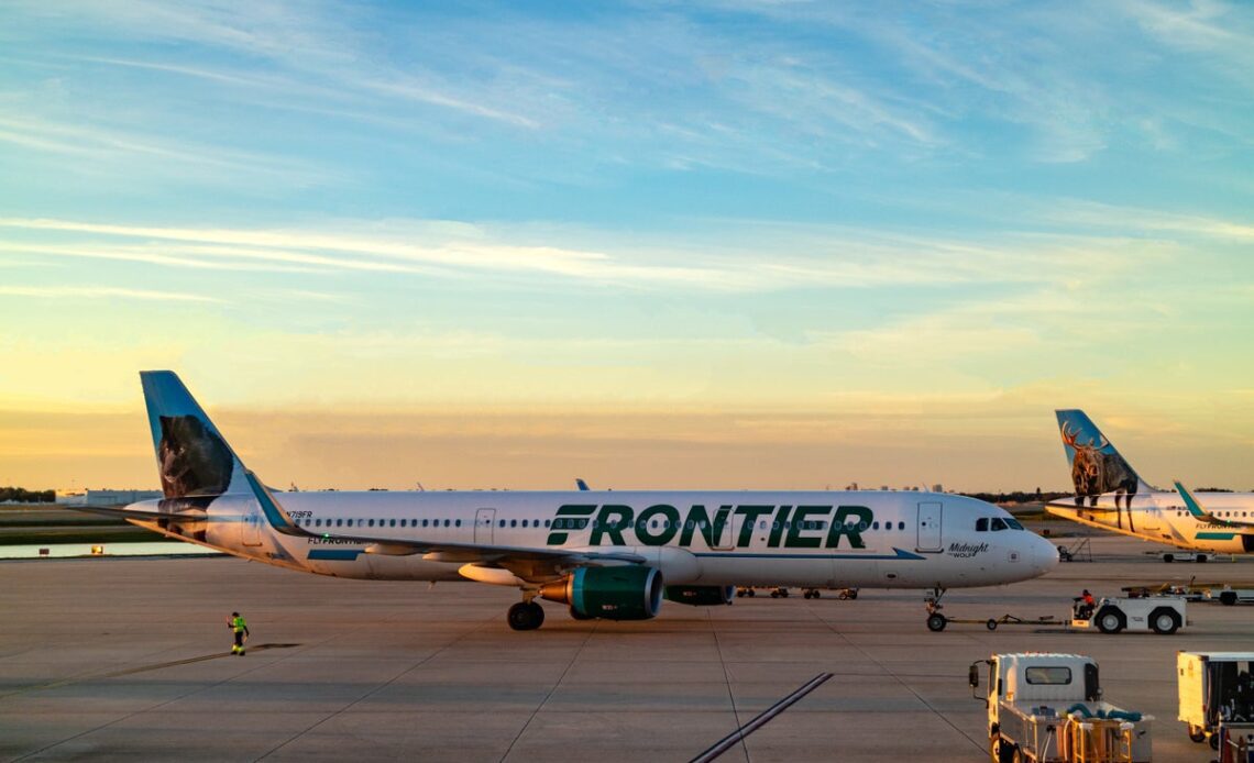 Frontier Airlines offers free flights to people who adopt three stray kittens