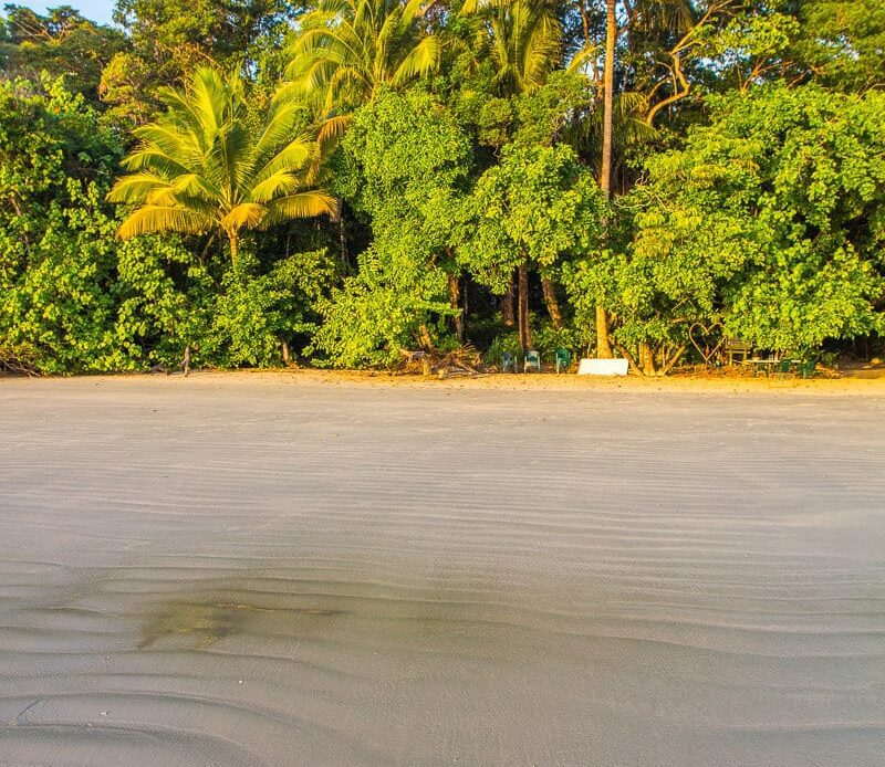 wavy sand at the edge of the daintree rainforest