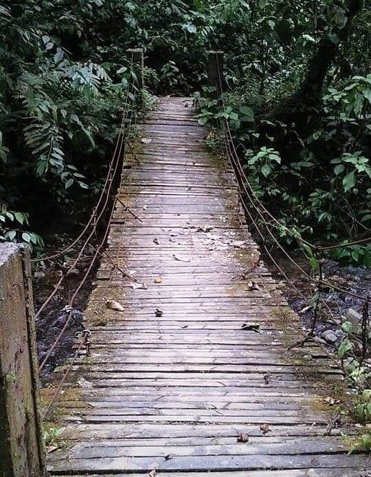 Wooden Trail, Things To Do In Mindo