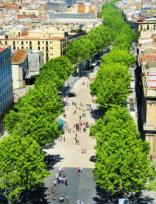 Aerial view of La Rambla of Barcelona, Spain