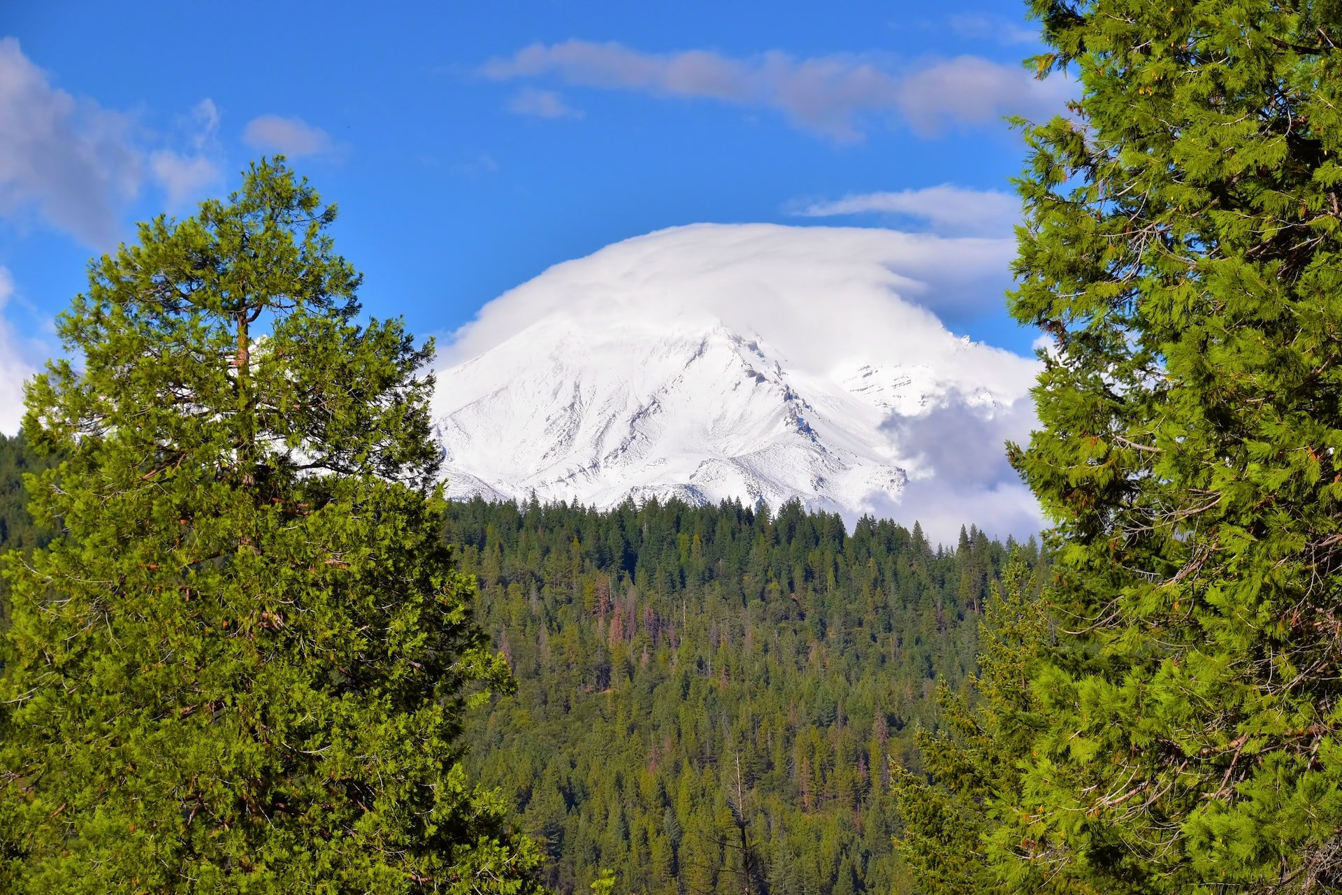 Mount Shasta as seen from Lake Siskiyou, which offers camping in California (photo: Jeffrey Eisen)