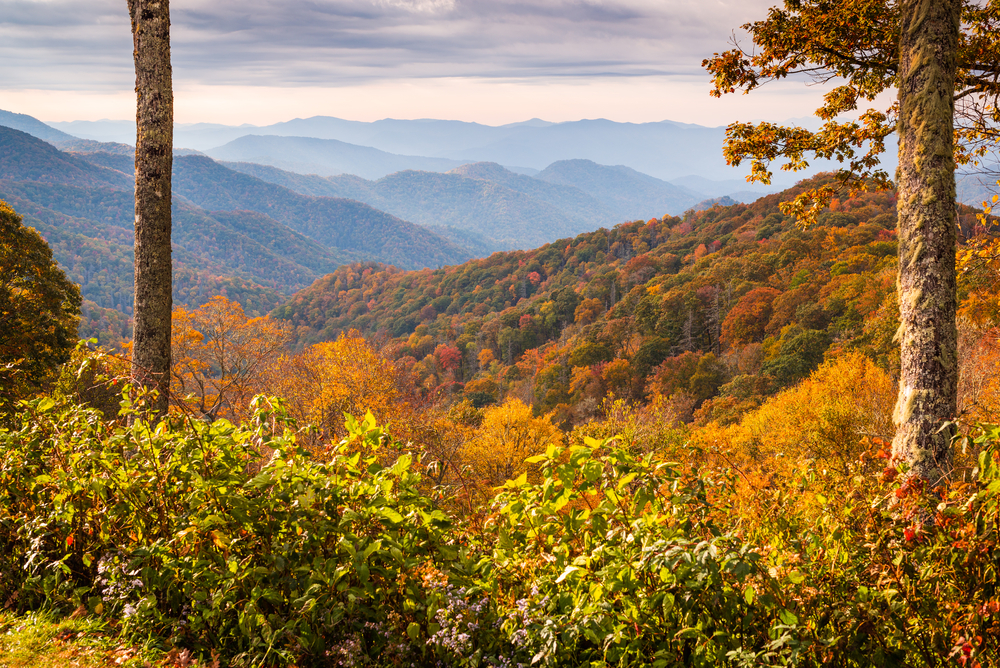 Airbnb Gatlinburg TN