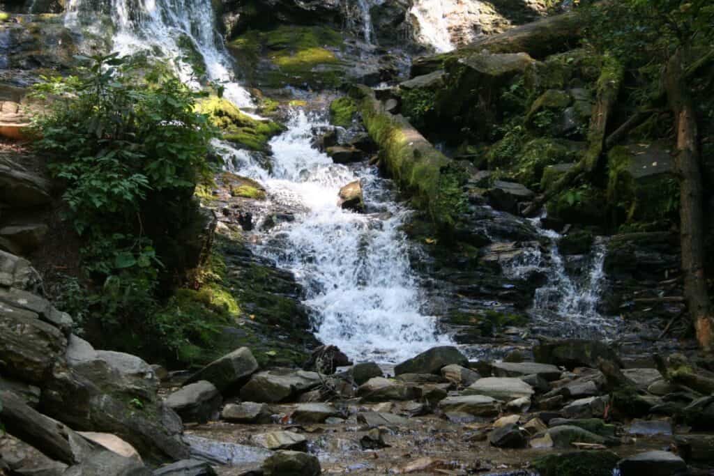 Weekend Trips from Charlotte to Mingo Falls in early spring