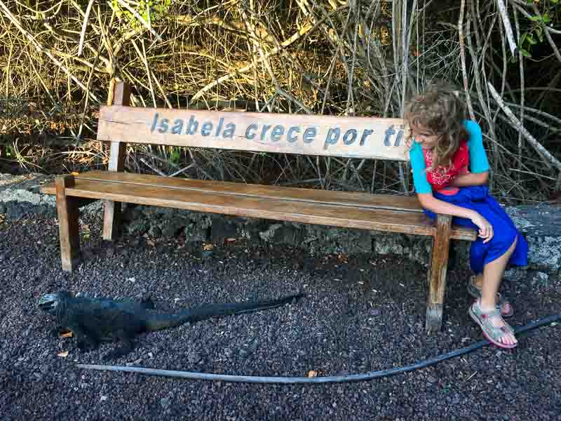 Isabela Island girl on bench with marine iguana near 