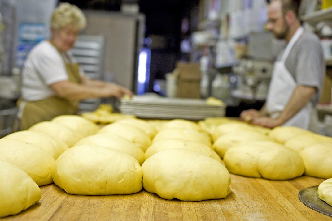 Paczki dough