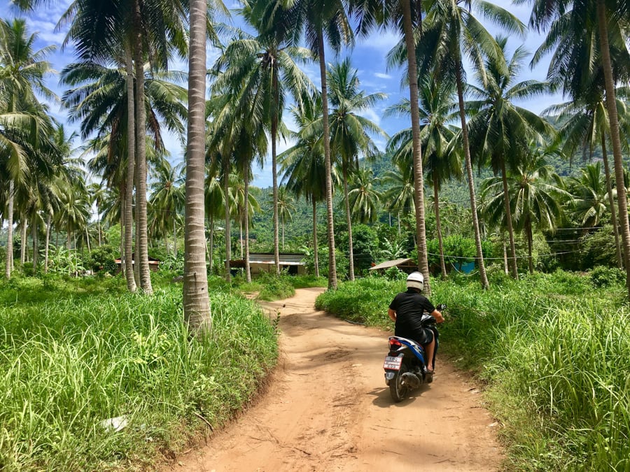 things to do in koh samui thailand scooter