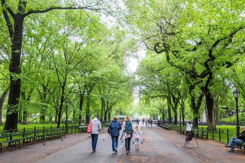 people walking through the lush green Central Park, New York City