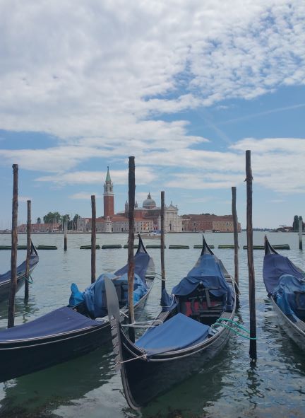 Photograph of gondolas, Venice, Italy