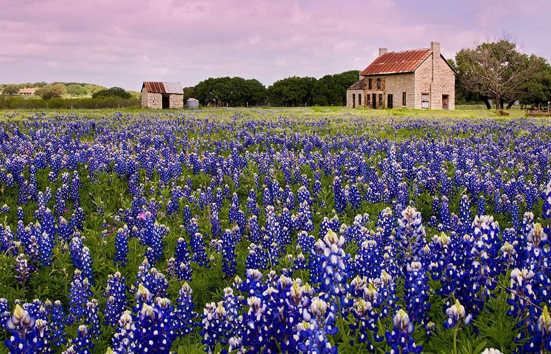 Bluebonnet House Marble Falls + 15 Best Day Trips from Austin TX to Take Next