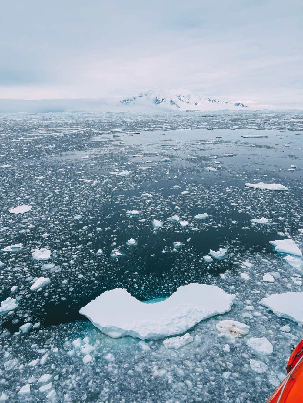 Arriving In Antarctica And The Antarctic Circle