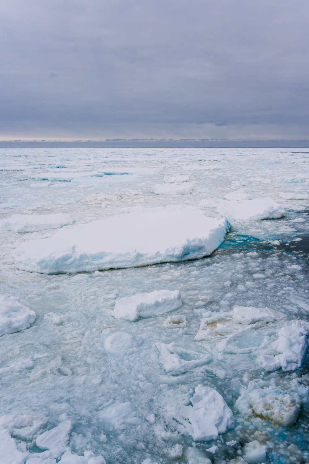 Arriving In Antarctica And The Antarctic Circle