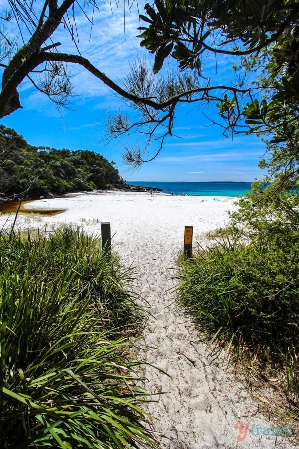 beach track lading down to Seamans Beach, Jervis Bay, Australia