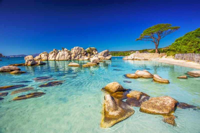 Stunning clear water and interesting rock formations on a sandy beach surrounded by trees at Palombaggia Beach on Corsica