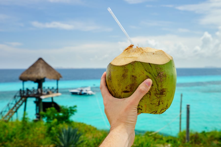 yucatan coconut things to do in cancun