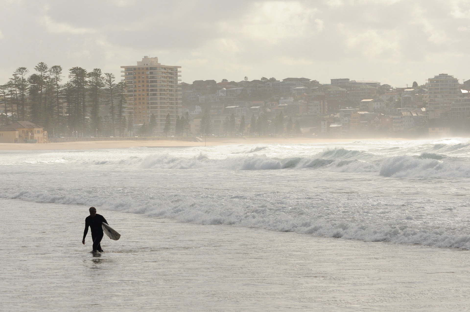 Surfer coming out of the water at Manly Beach, Sydney, New South Wales, Australia