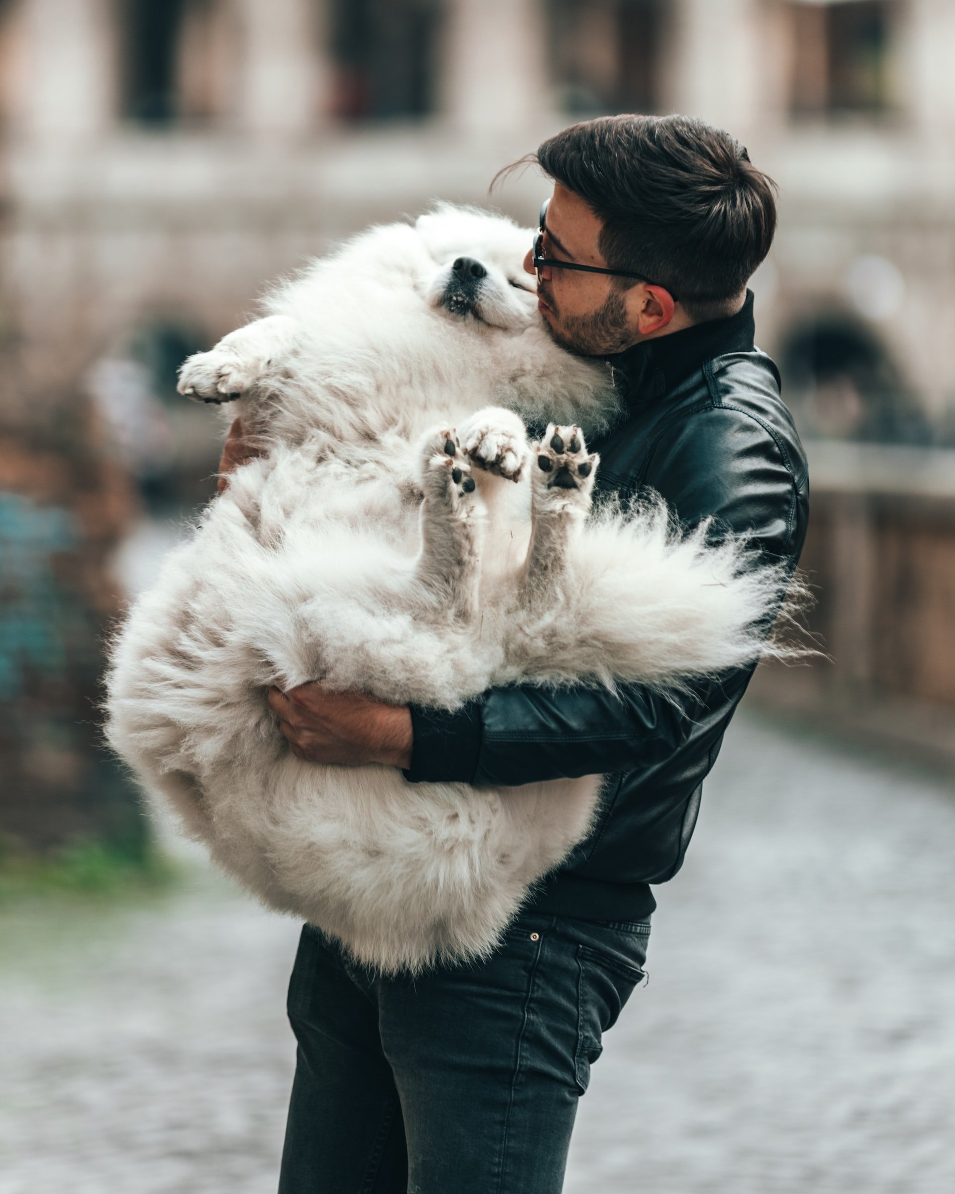 Man holding a large white fluffy dog (photo: Spencer Davis)