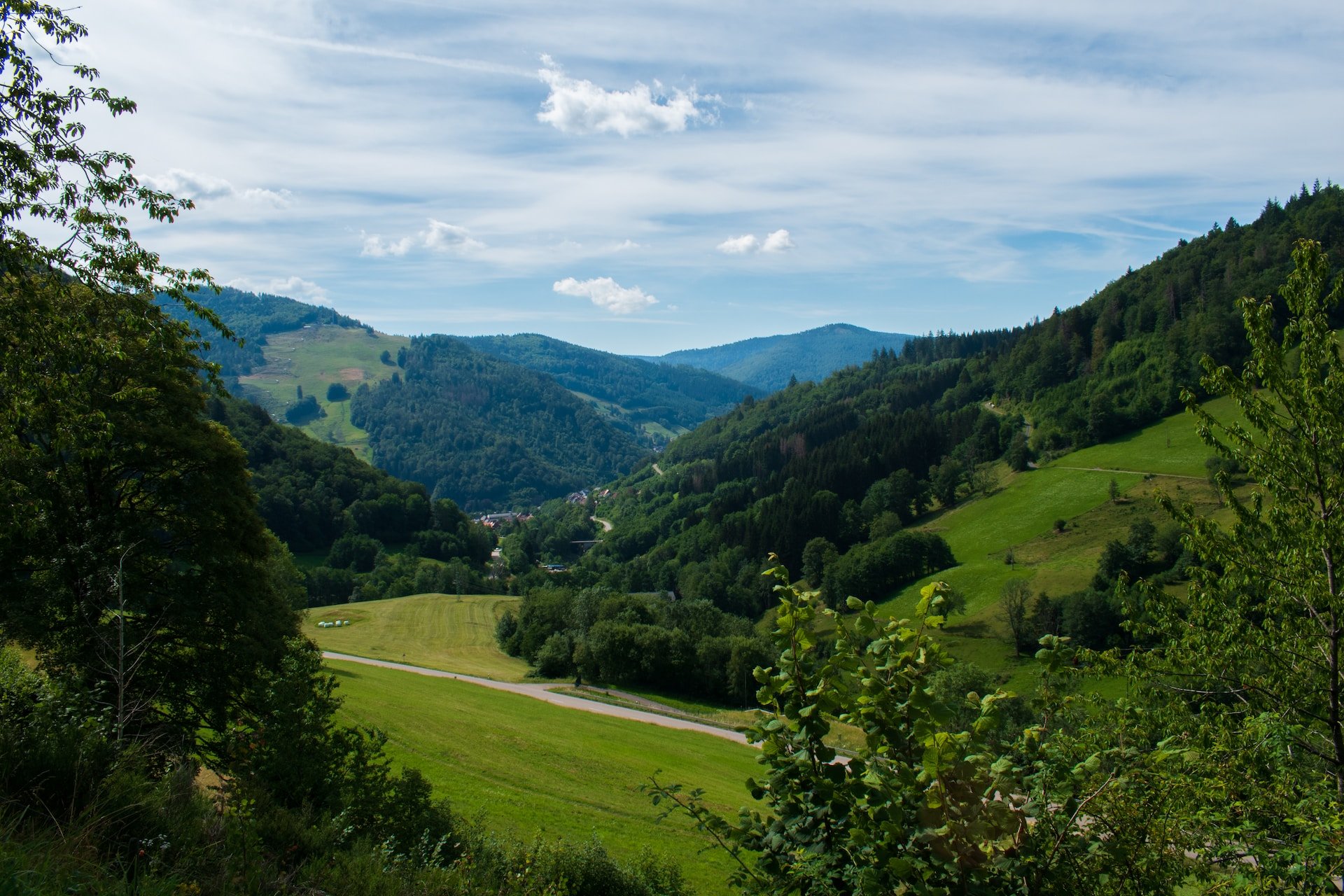 The Black Forest in Germany (photo: Rach Sam)