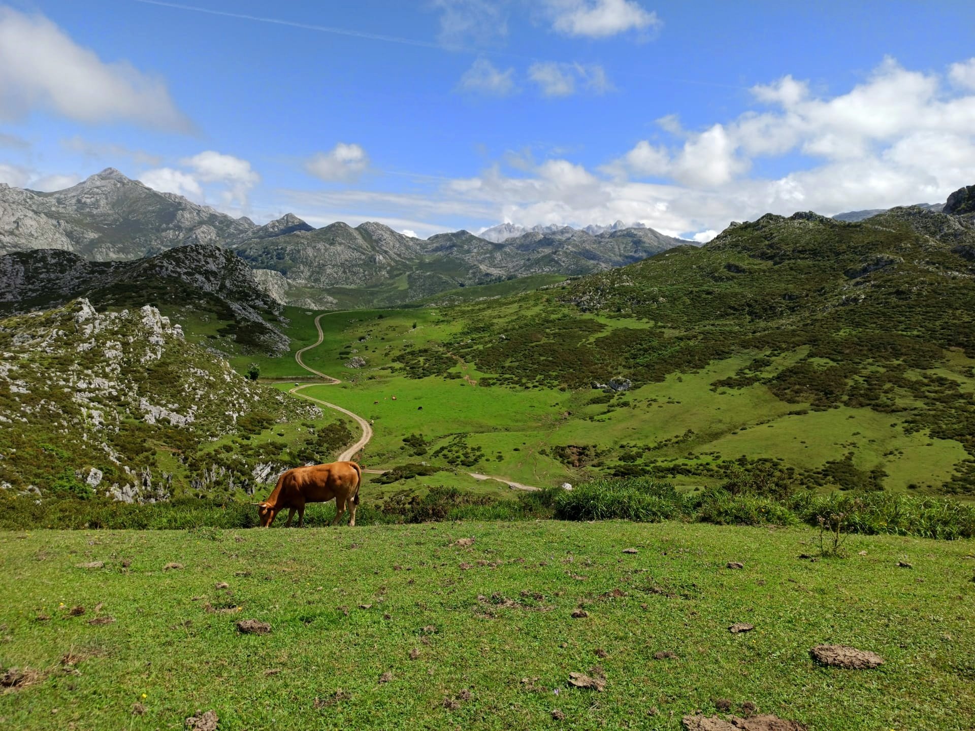 A path leading to the distant mountains of Picos de Europa, a European national park (photo: Bruno Alves)