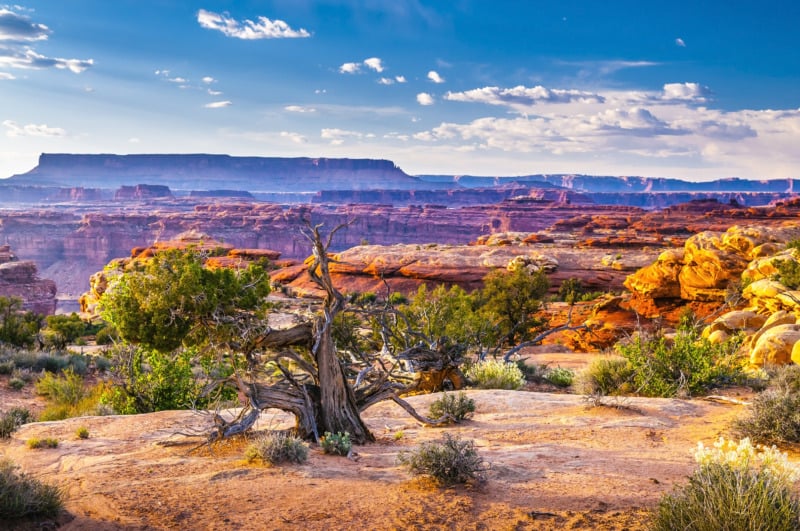 Stormy Sky over Needles District Canyonlands National Park