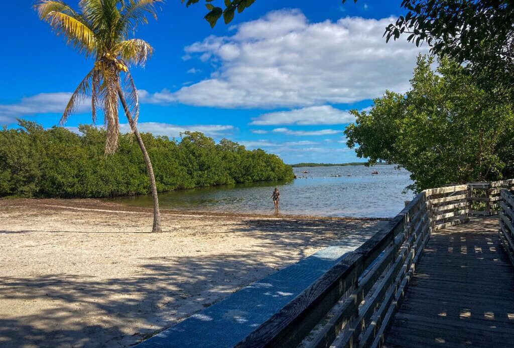 6 Best Beaches in Key Largo (Public + Private)