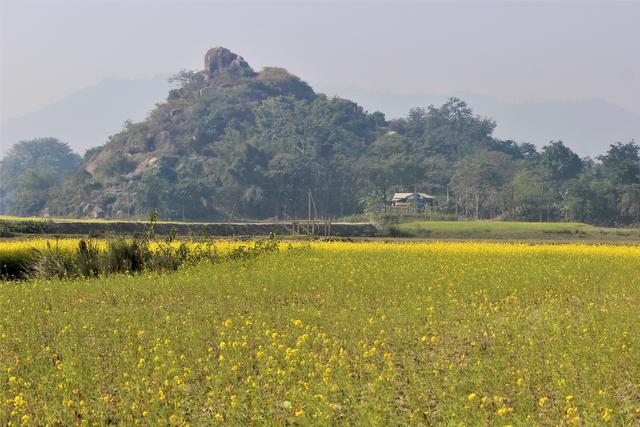Landscape view of Pobitora Wildlife Sanctuary