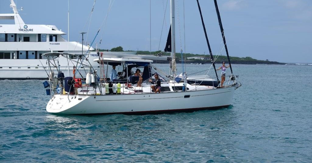 Sailboat Crew Rescued After Hitting Whale in Pacific Ocean