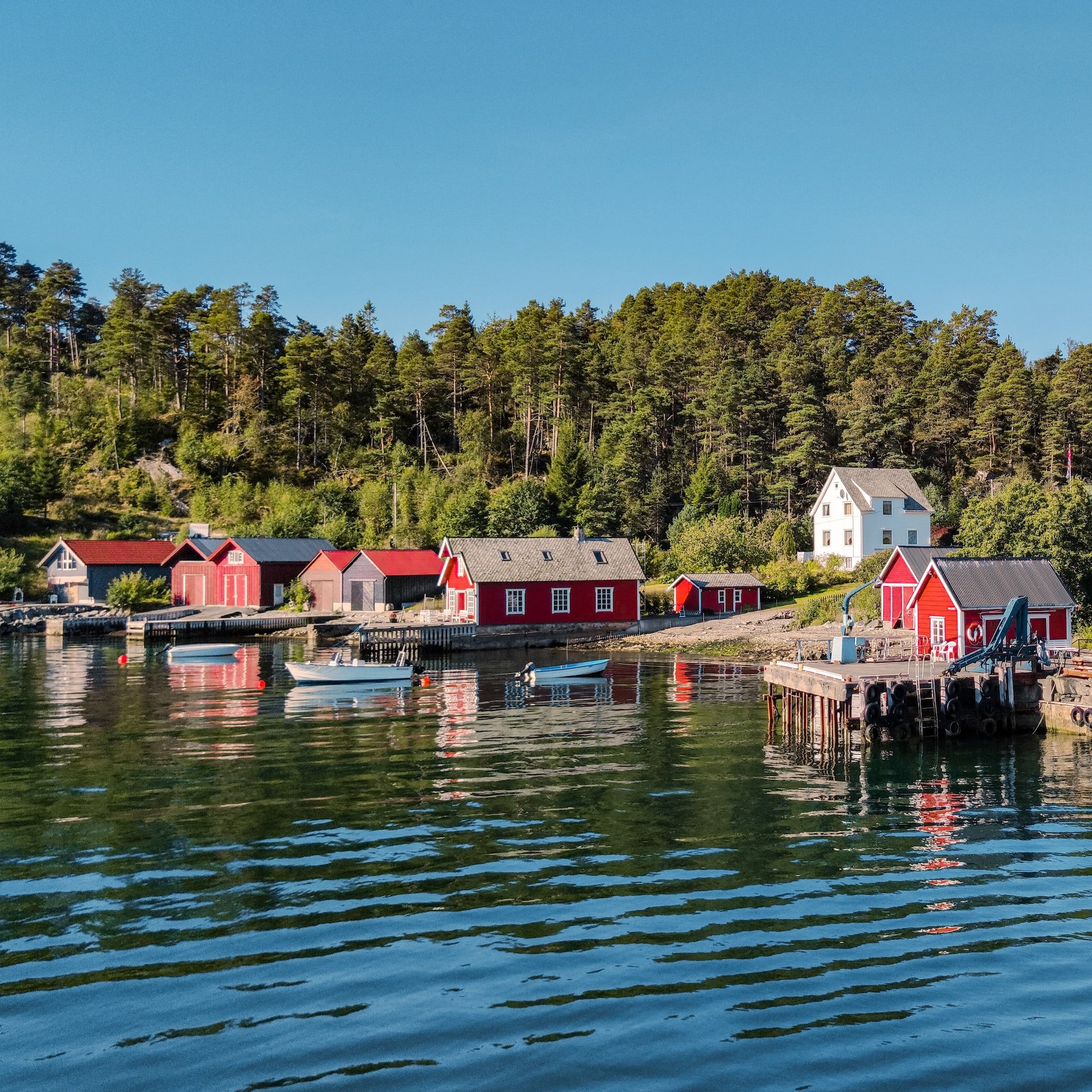 Norwegian village in a fjord (photo: op23)