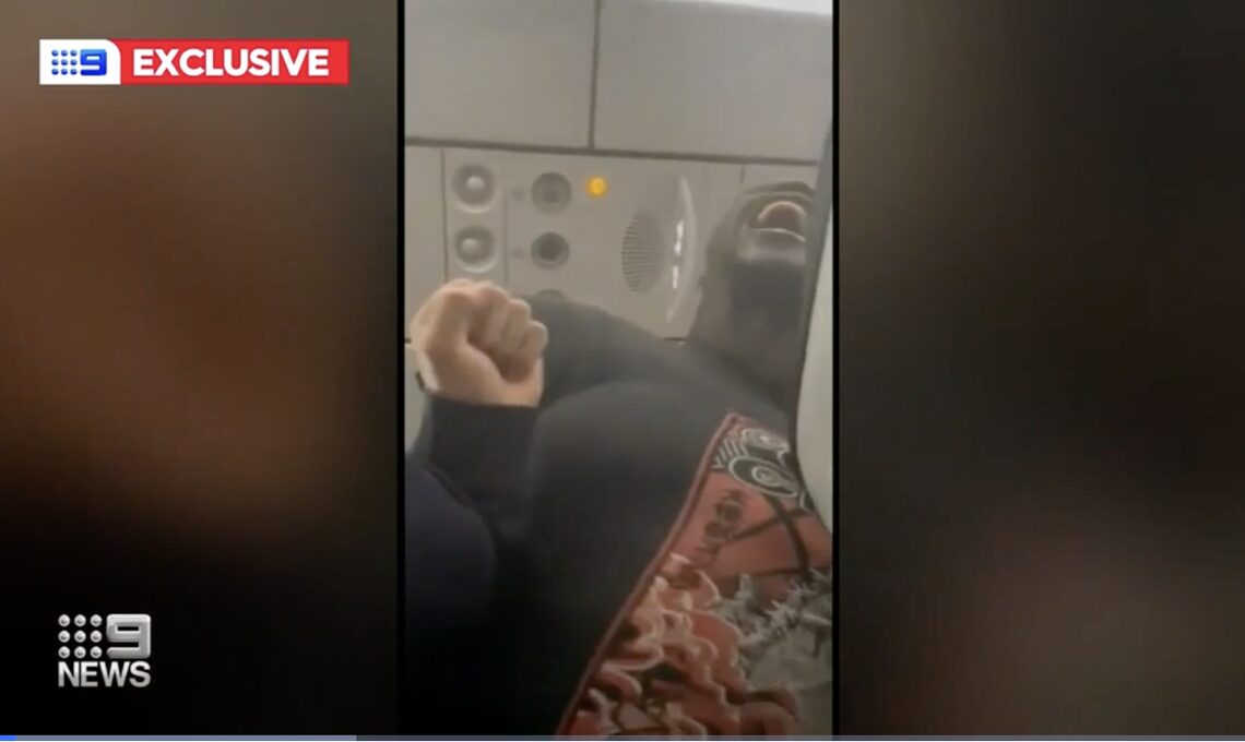 ‘I felt like an animal’: Passenger tasered and dragged off flight by police
