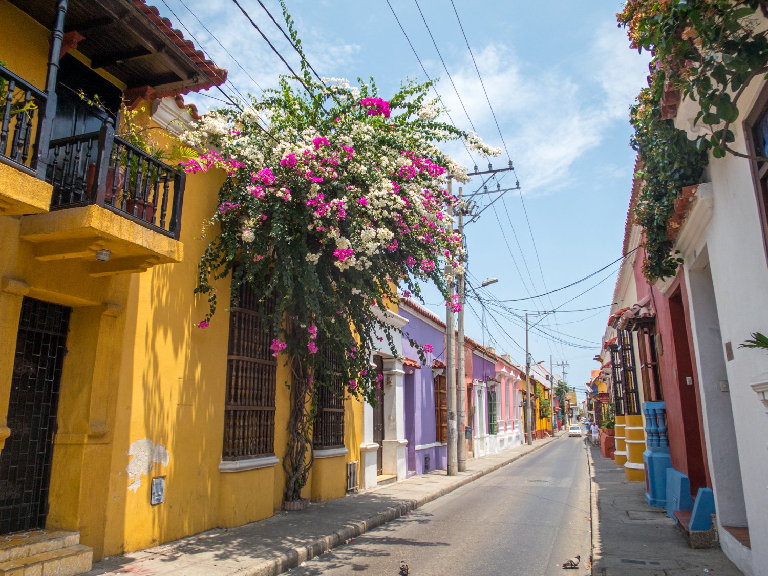 Walking the colorful streets in the Old Town is one of the top things to do in Cartagena, Colombia