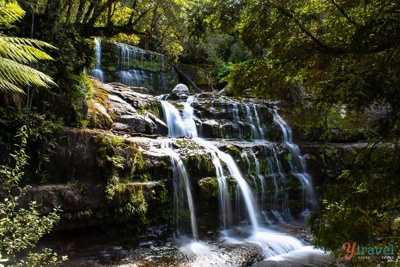 Liffey Falls Tasmania cascading over tiered rocks