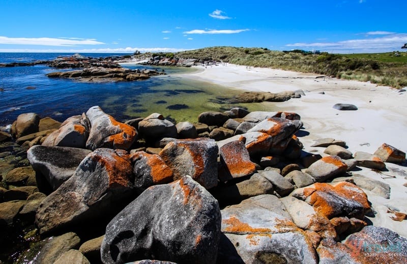 a rocky beach with orange rocks