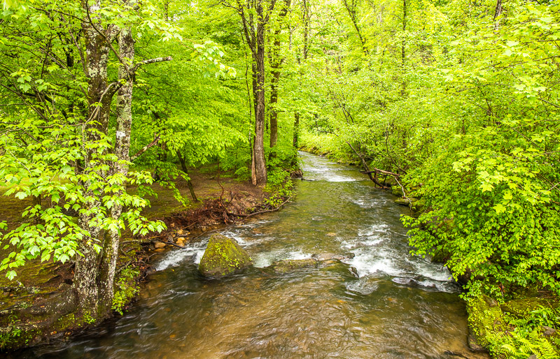 Stream in Unicoi State Park, GA