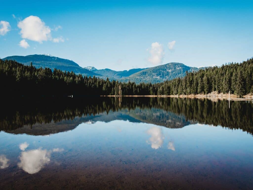 View across Lost Lake towards forest in Whistler, BC